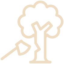 Light-Tree-Cutting