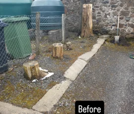 4 stumps beside wall and oil drums