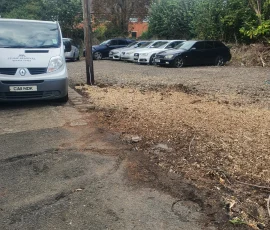 Ground down stumps in car park beside telephone post