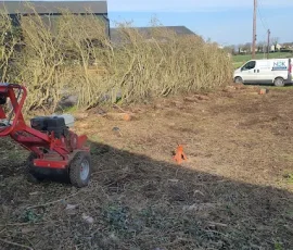Field with red stump remover and several stumps