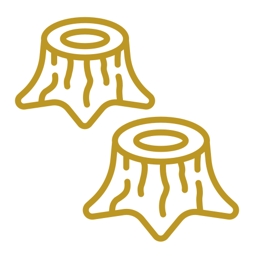 tree-stumps